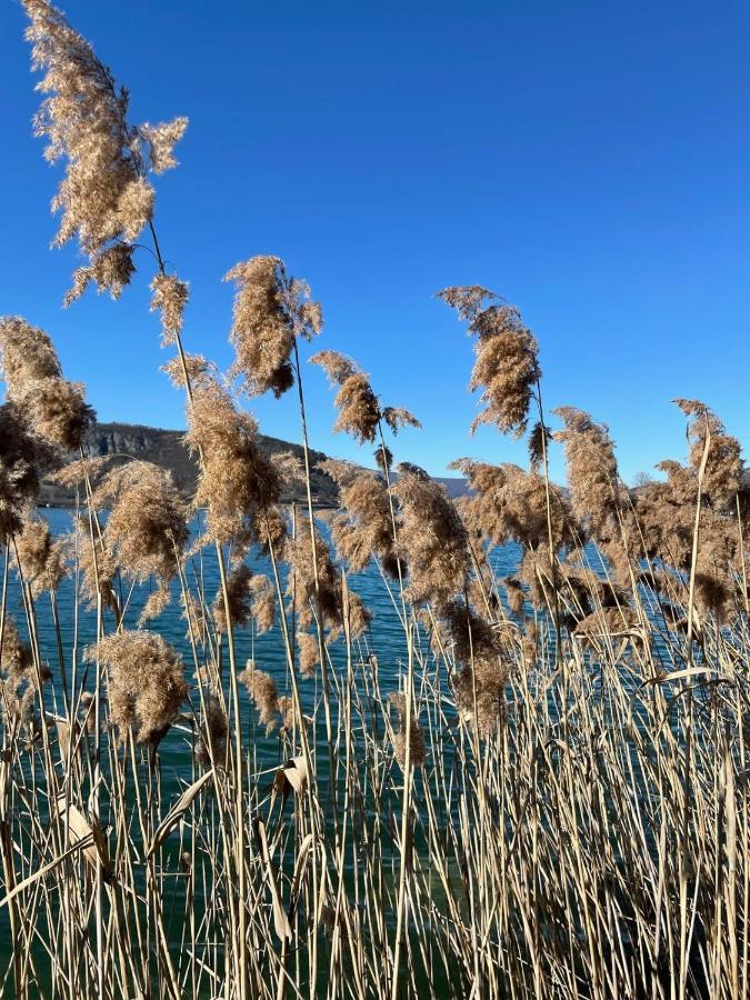 Petit Cocon Au Coeur D'Annecy Daire Dış mekan fotoğraf